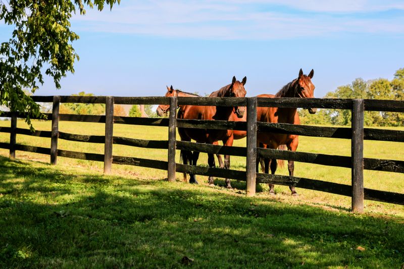 Horse Paddock Installation in South Houston, TX